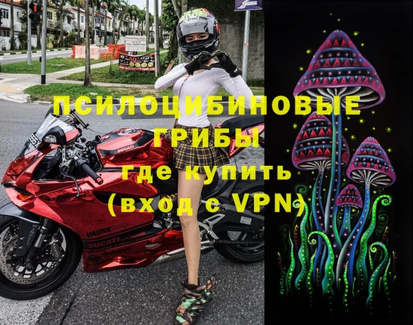 гидропоника Белокуриха