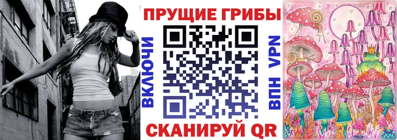 купить   Новосиль  Псилоцибиновые грибы Magic Shrooms 